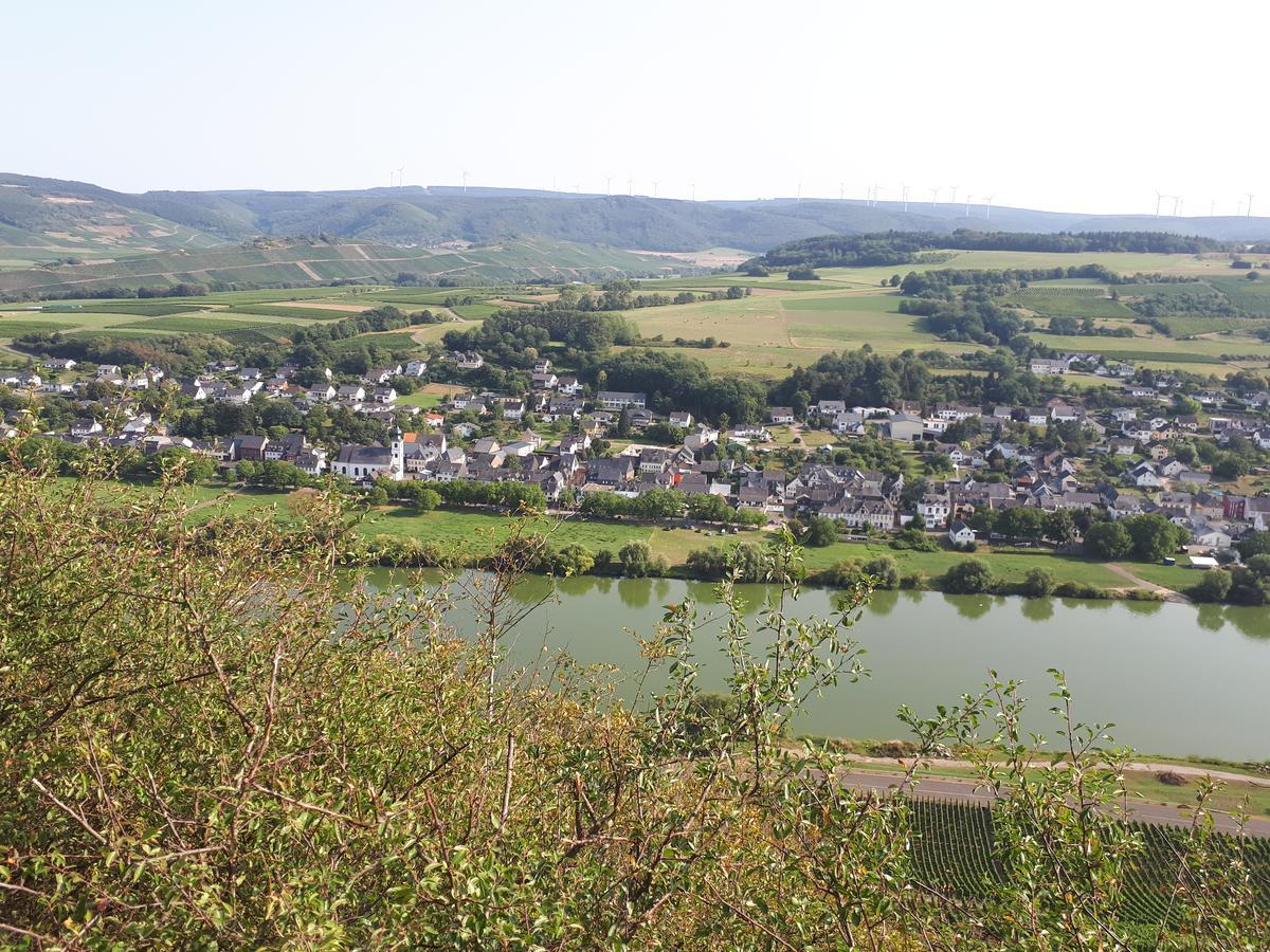 Gaestehaus Jufferpanorama Brauneberg Exterior foto